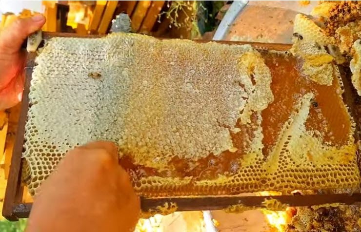 (���� ���� : �Ϲ����� �ж����� ������ ���� ä���ϱ� ���ؼ� �е��� �ж��� ��� ���ܳ��� �ִ�.)