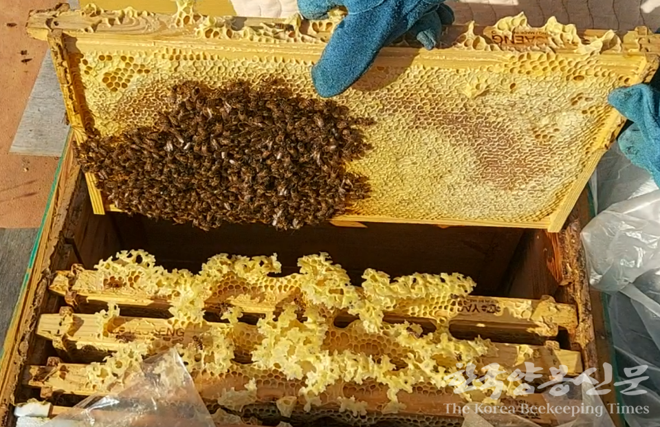 (���� ���� : �泲 û�籺 ���� �ѱ�����Ź� �������忡�� ������ �غ��ϱ� ���� �Ϻ��ϰ� ������Ų ������)